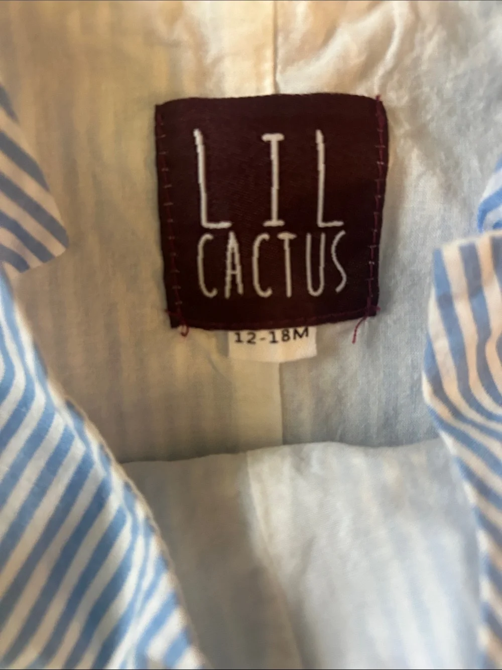 Lil Cactus blue and white pinstripe romper